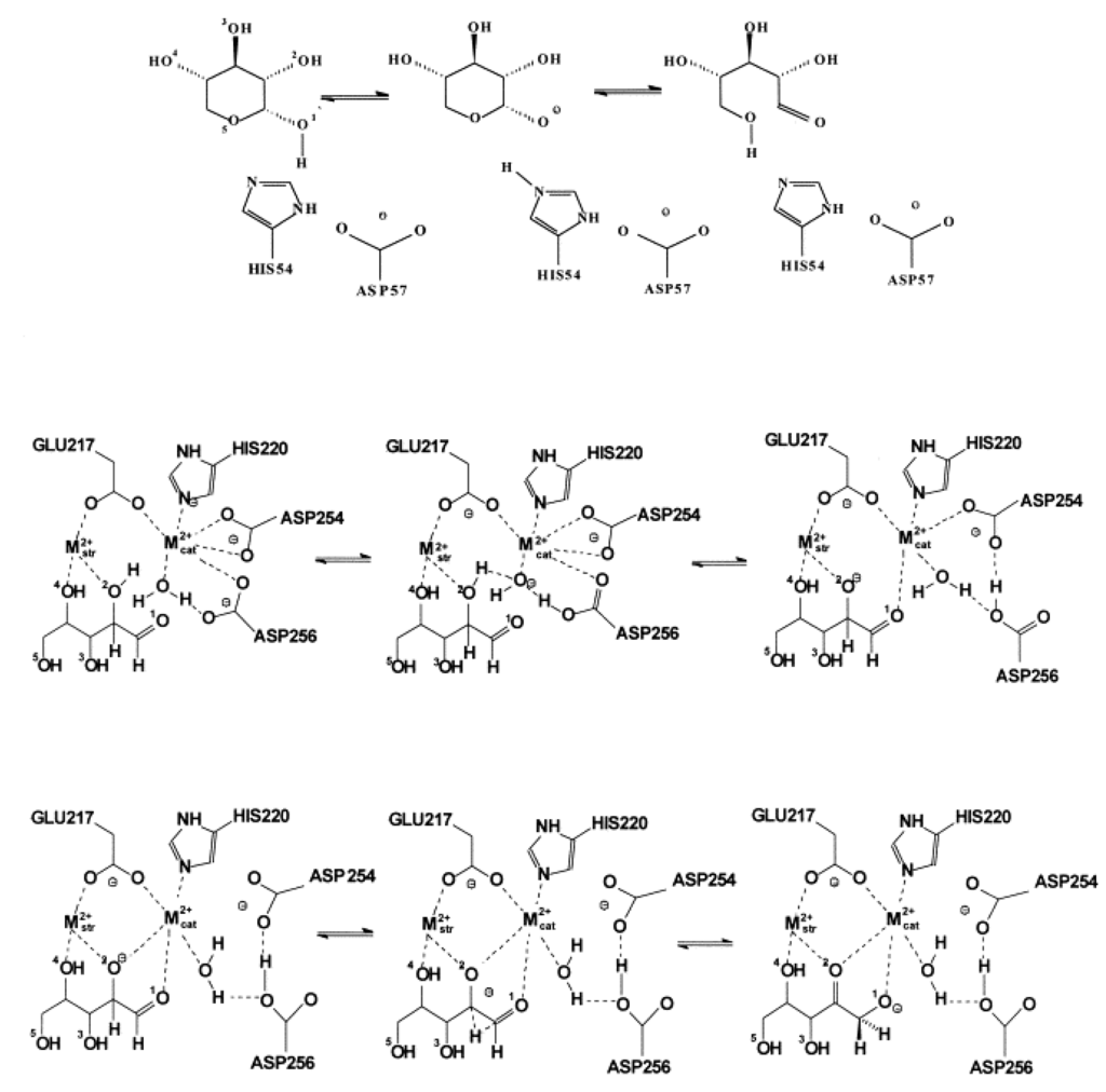 Biomolecules 03 00662 g019 1024