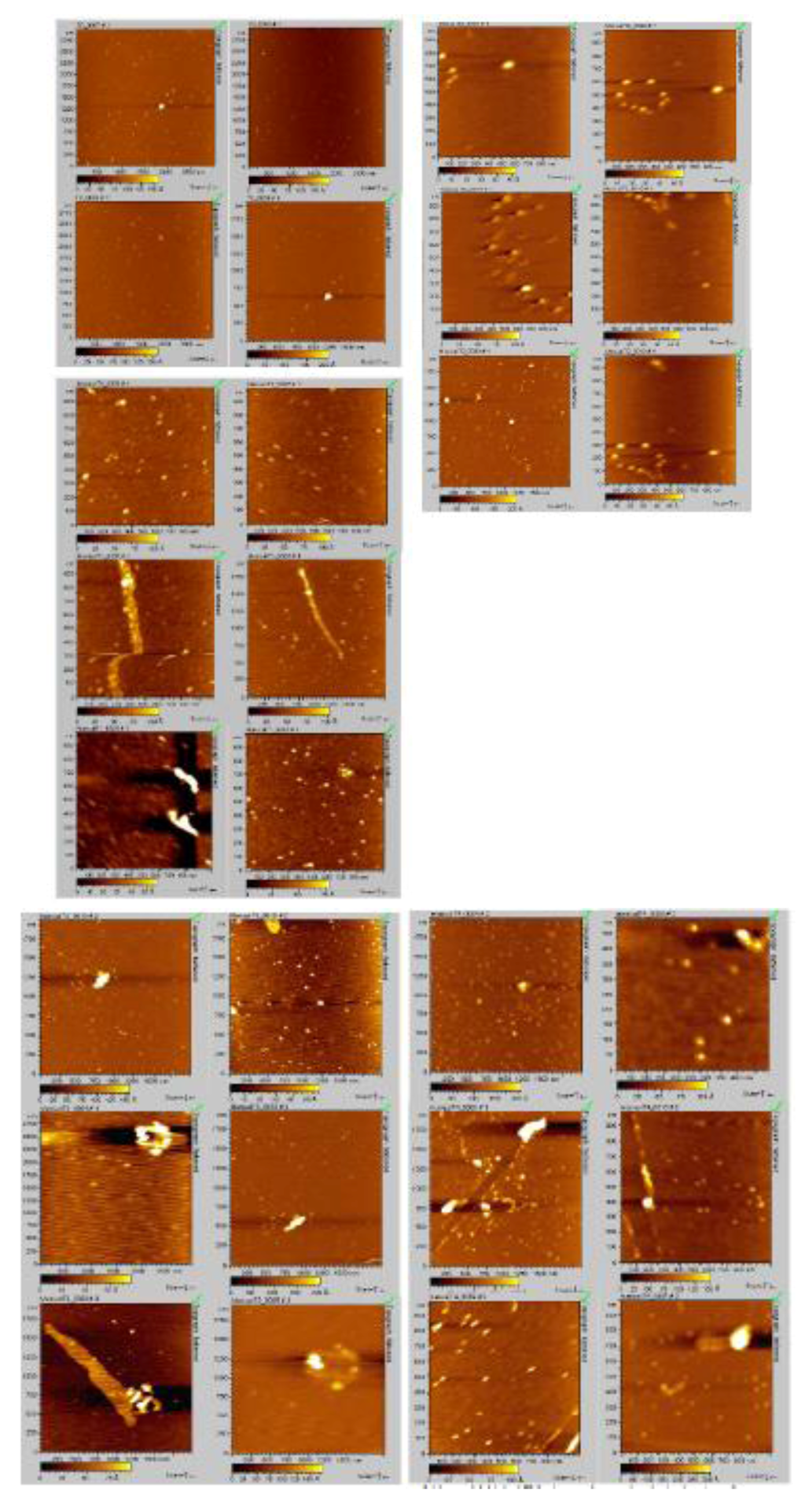 Biomolecules 03 00703 g008 1024