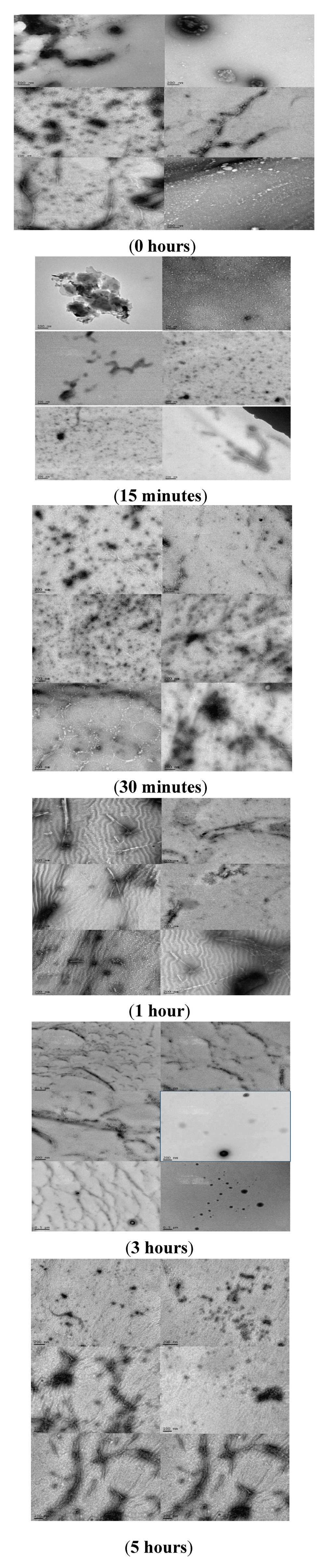 Biomolecules 03 00703 g009 1024