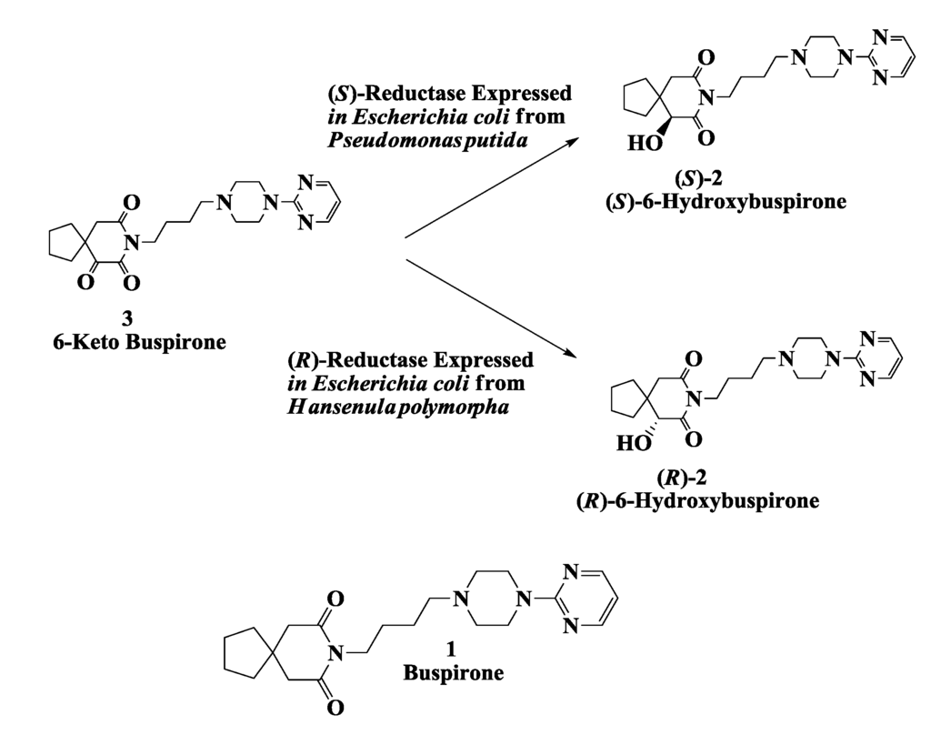 Biomolecules 03 00741 g001 1024