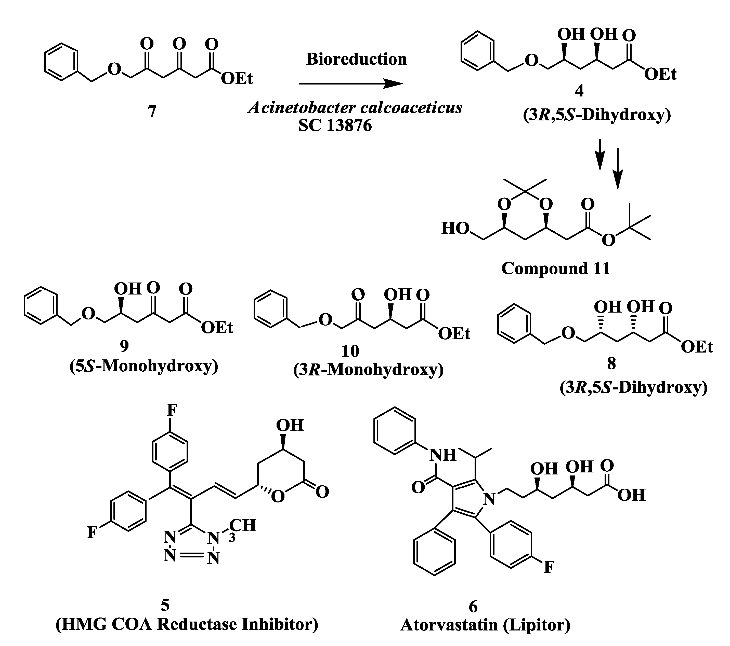 Biomolecules 03 00741 g002