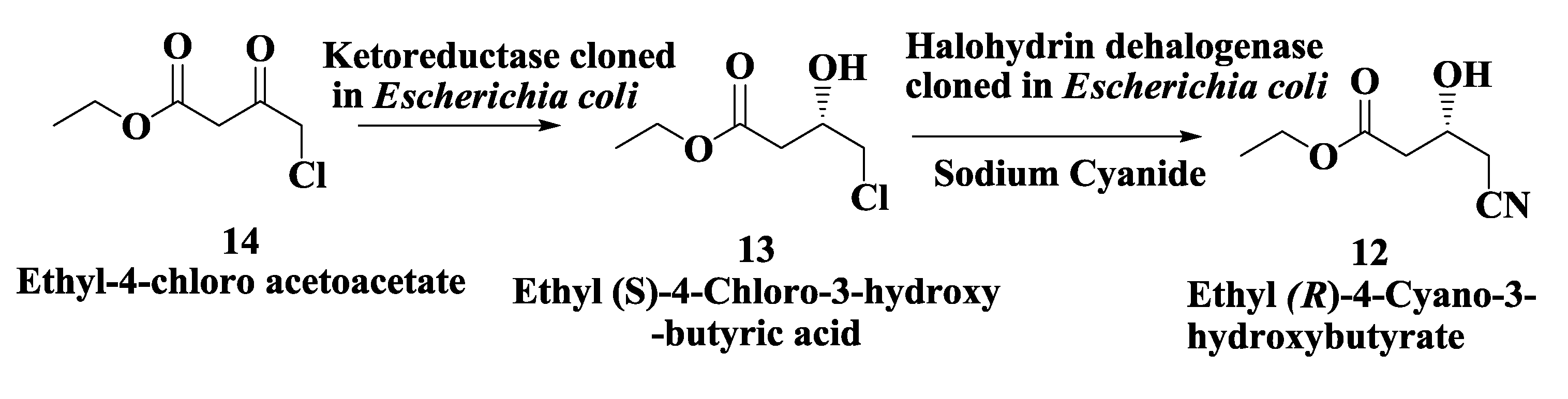 Biomolecules 03 00741 g003