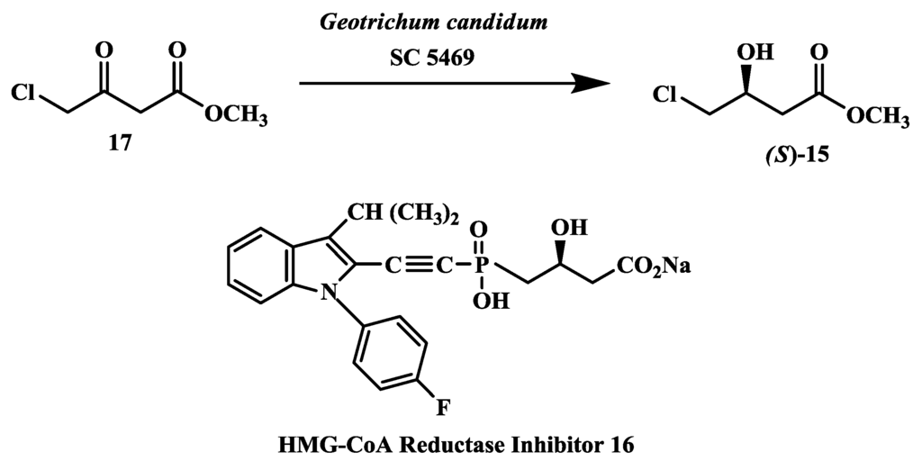 Biomolecules 03 00741 g004 1024