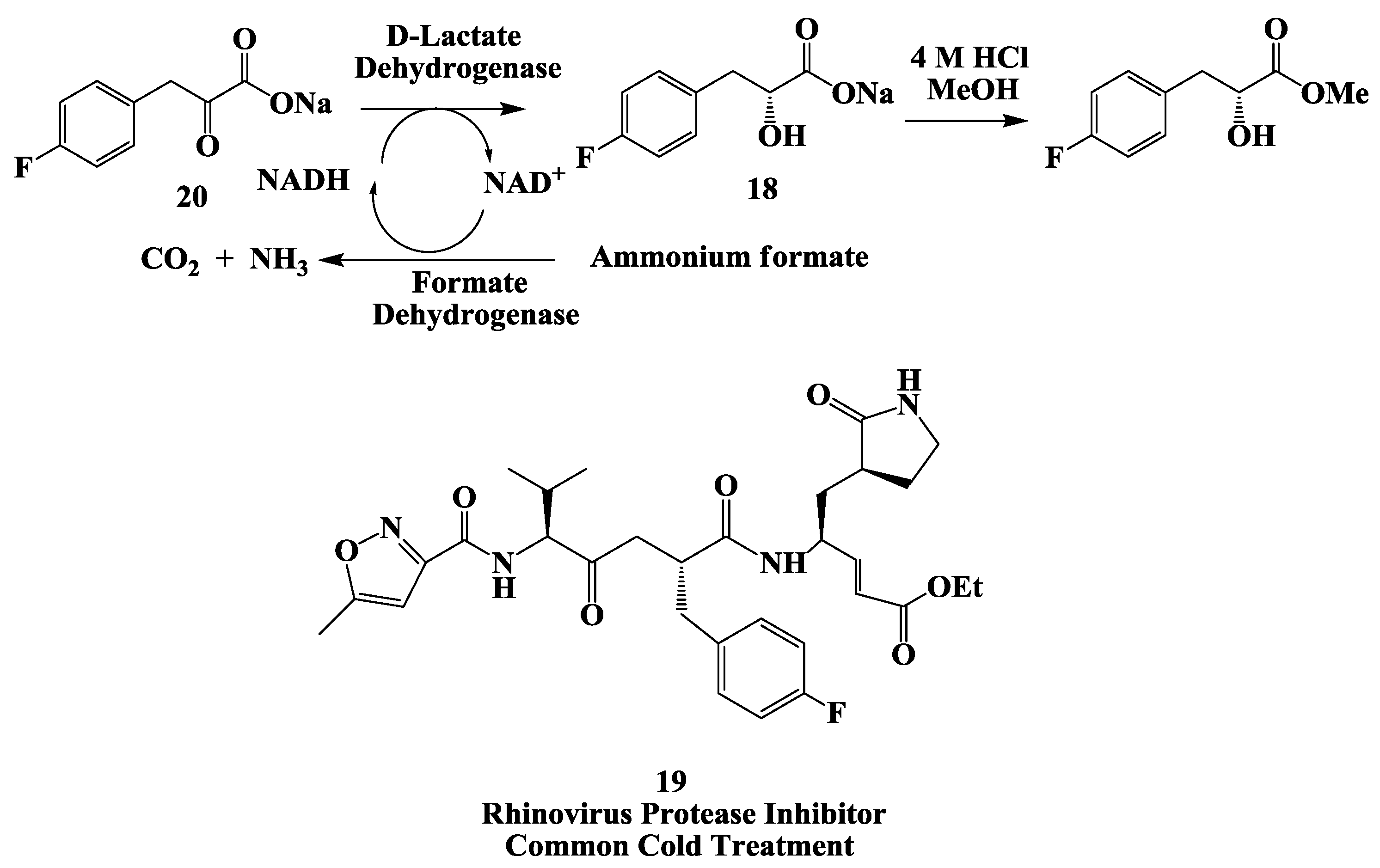 Biomolecules 03 00741 g005