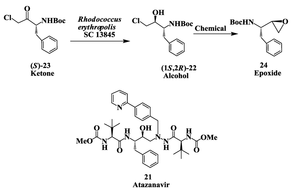 Biomolecules 03 00741 g006 1024