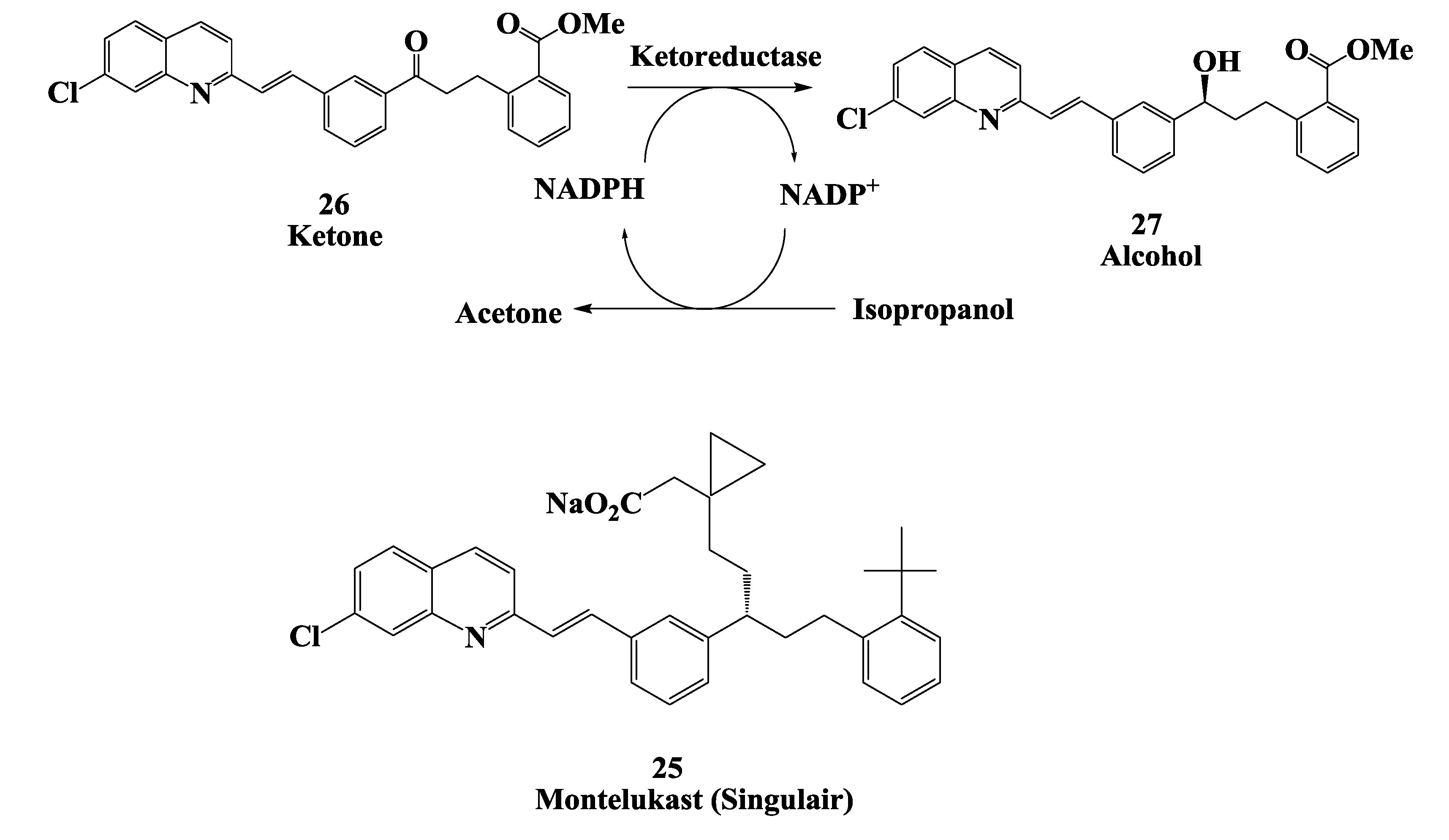 Biomolecules 03 00741 g007