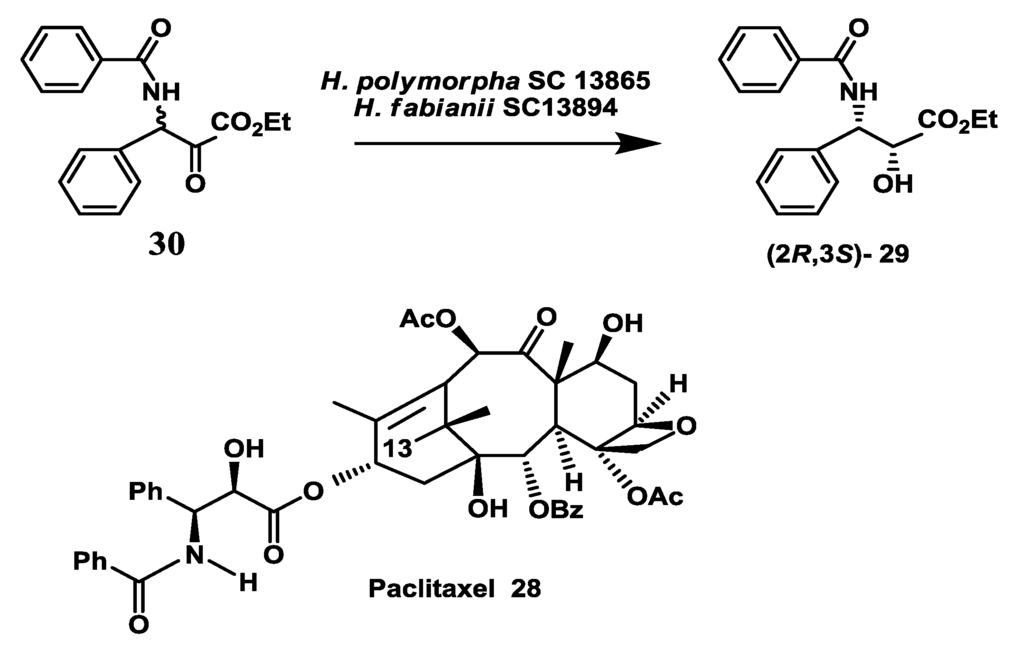 Biomolecules 03 00741 g008 1024
