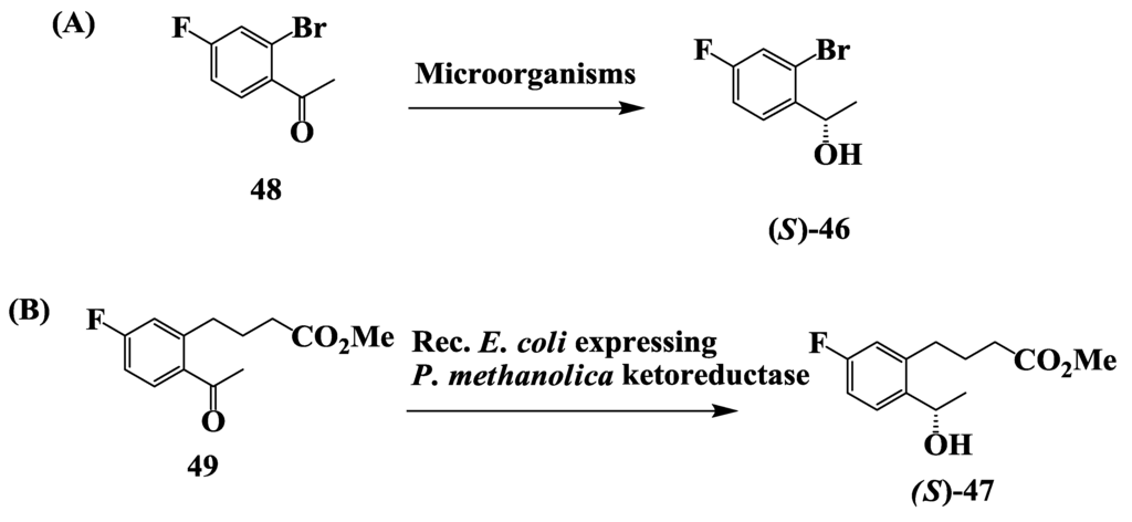 Biomolecules 03 00741 g012 1024