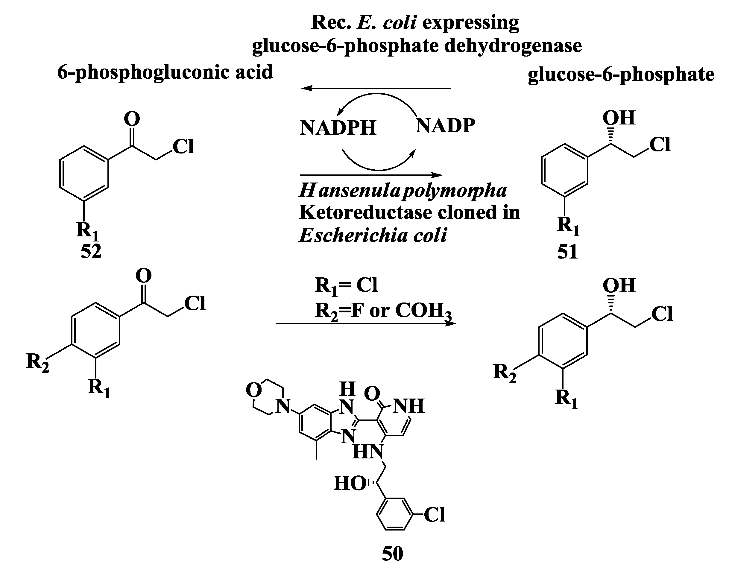 Biomolecules 03 00741 g013