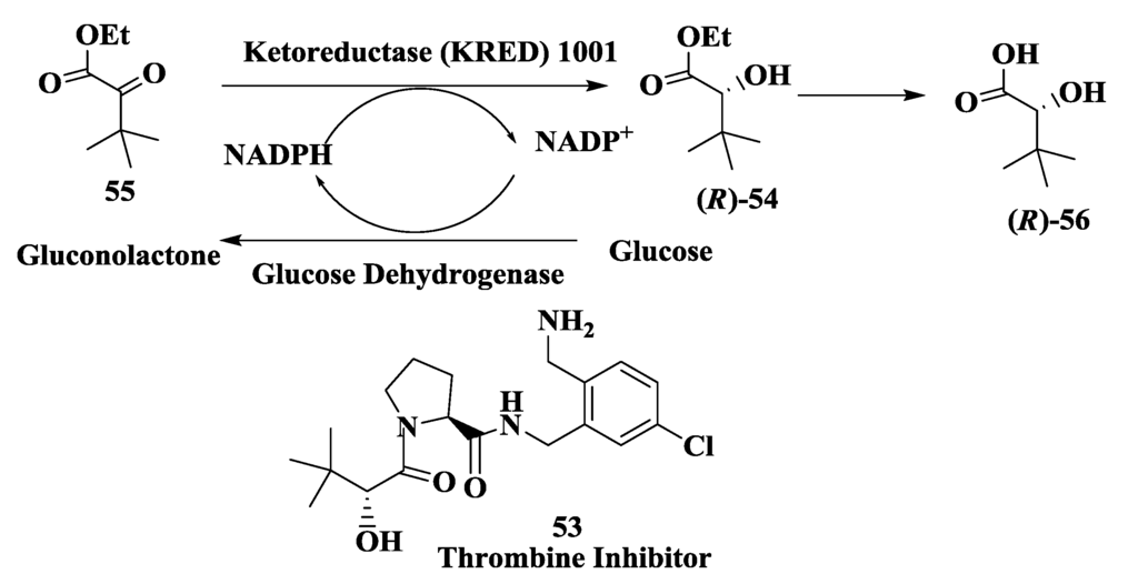 Biomolecules 03 00741 g014 1024