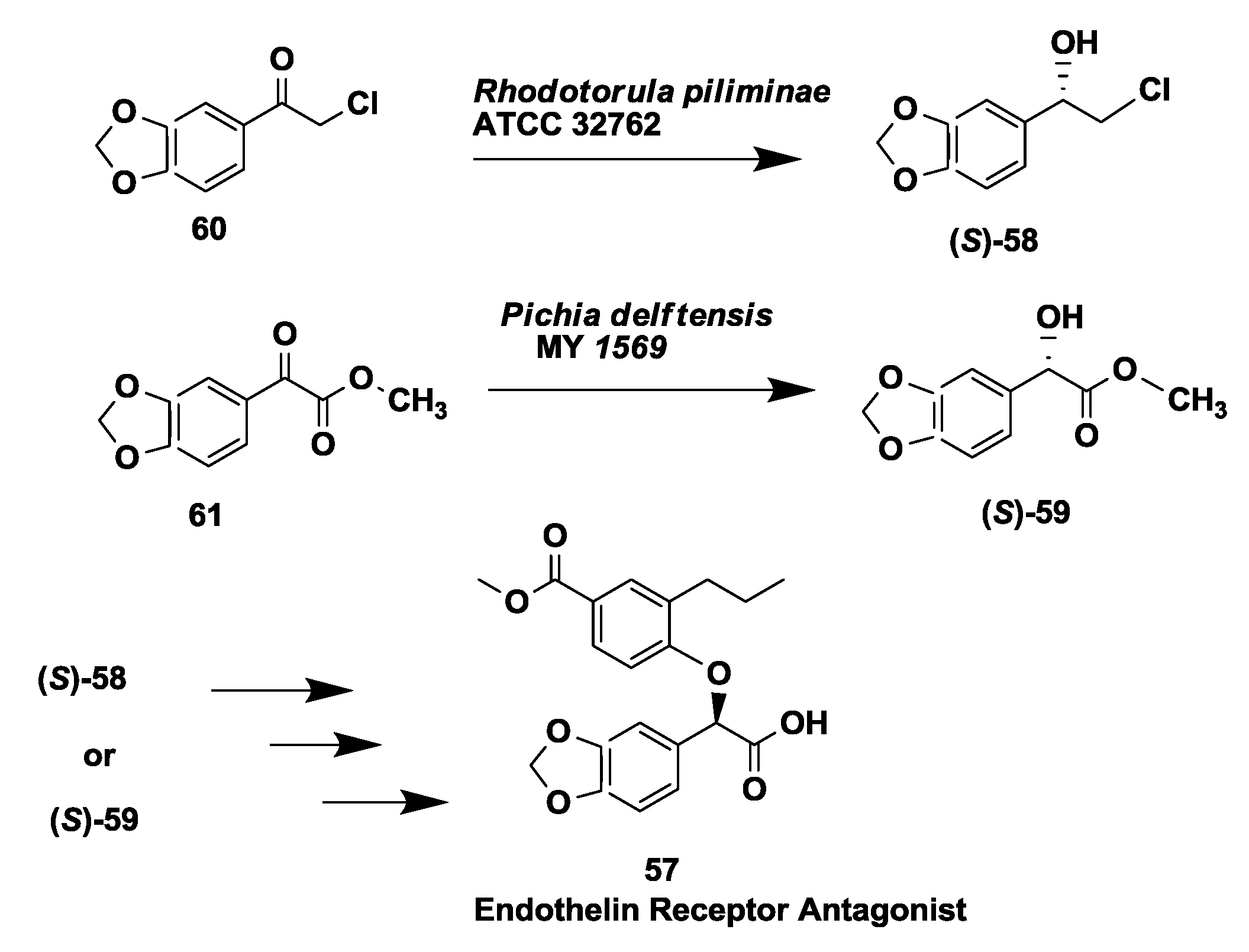 Biomolecules 03 00741 g015