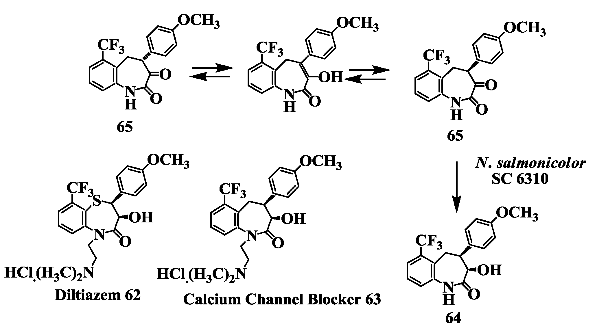 Biomolecules 03 00741 g016