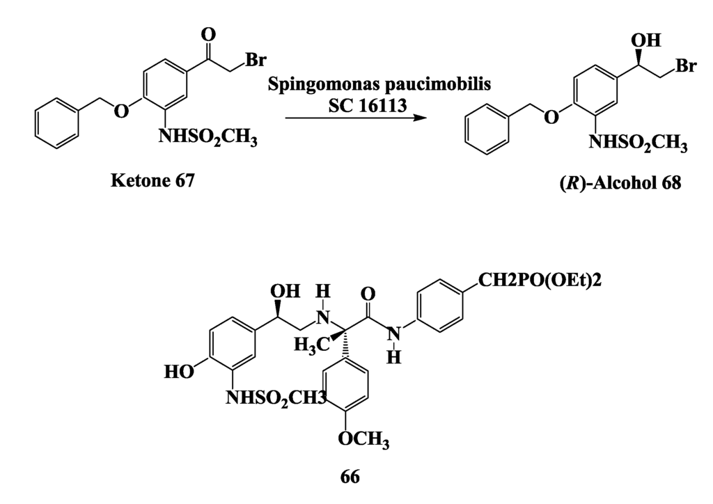 Biomolecules 03 00741 g017 1024
