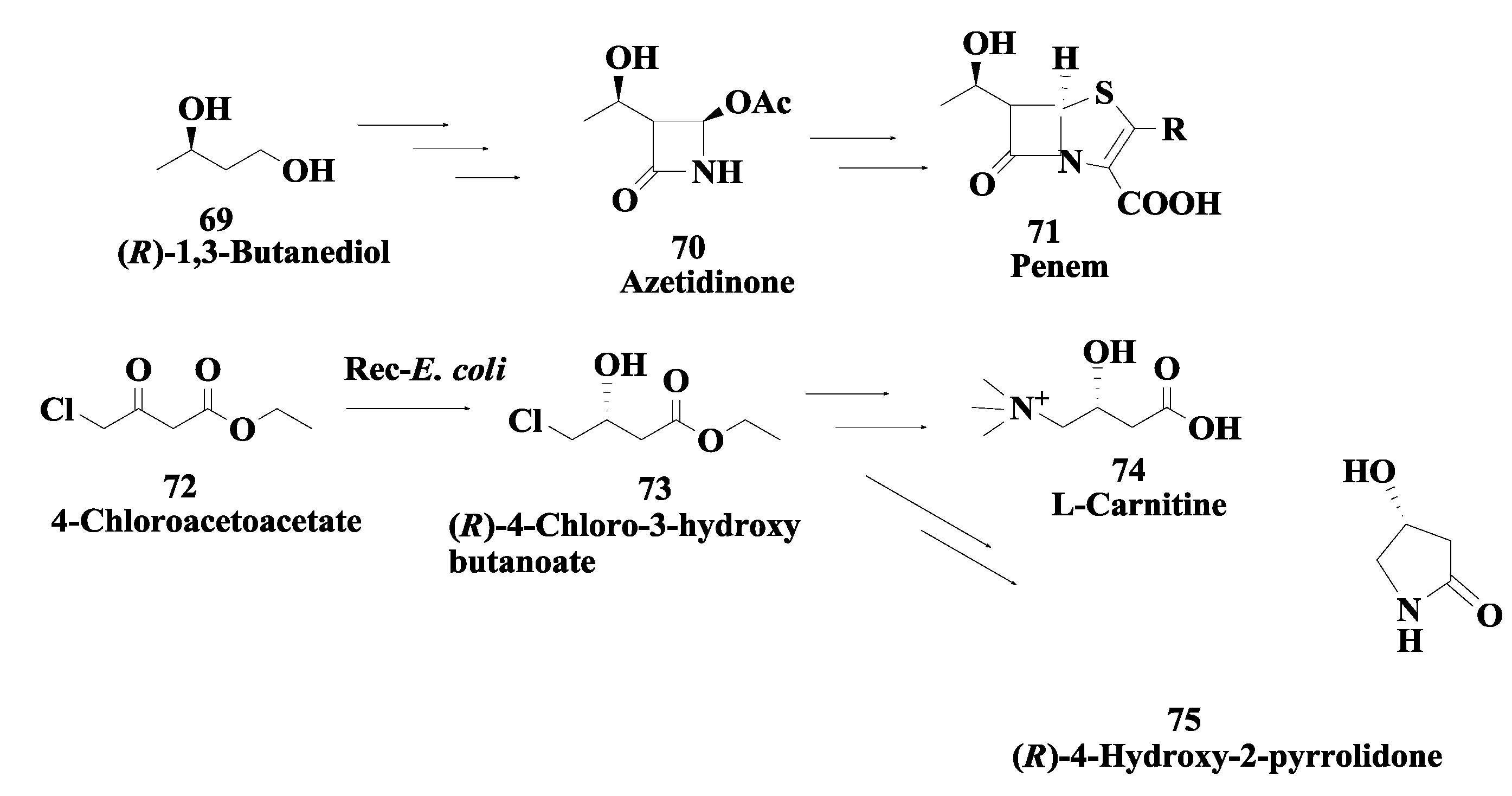 Biomolecules 03 00741 g018