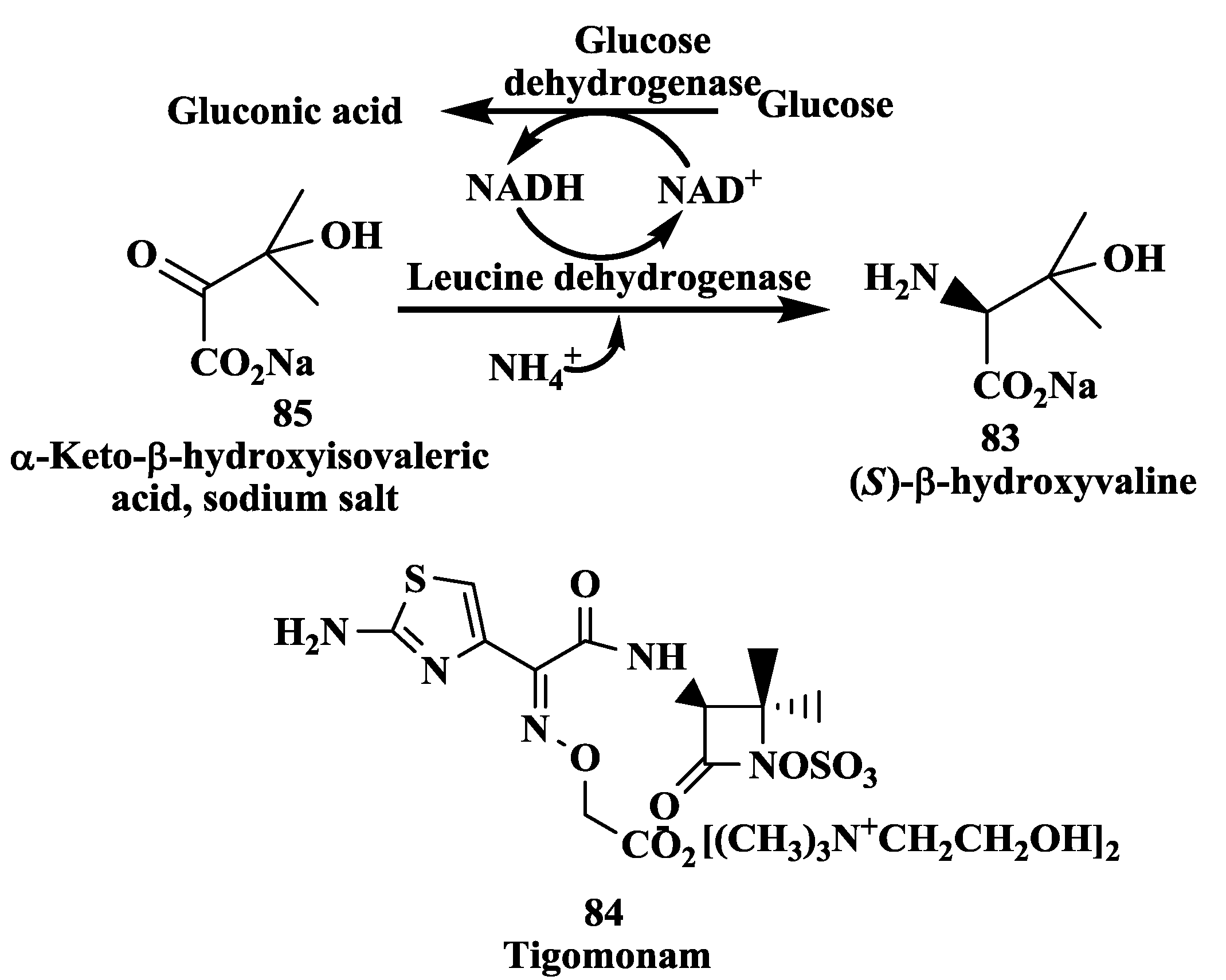 Biomolecules 03 00741 g021