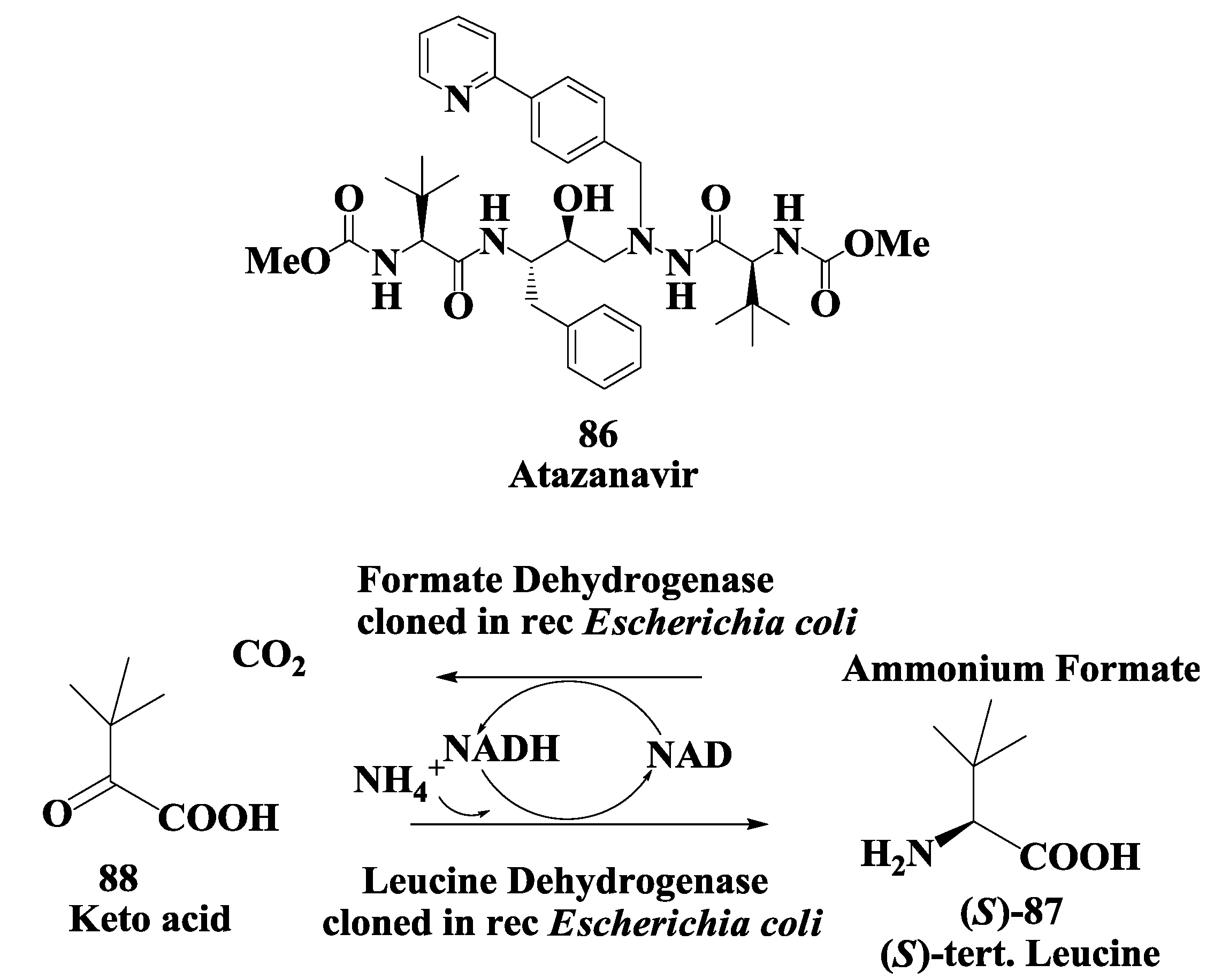 Biomolecules 03 00741 g022