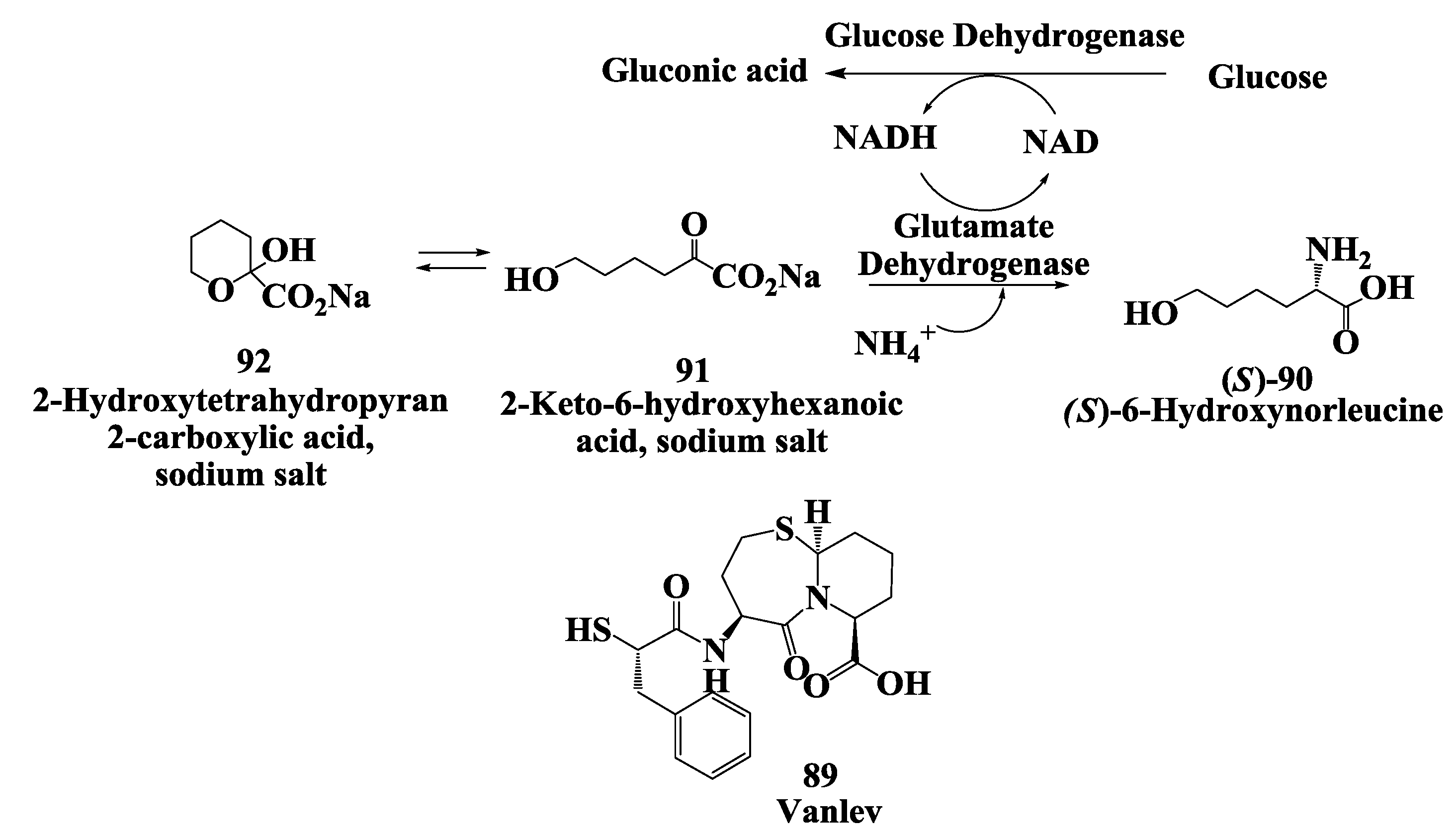 Biomolecules 03 00741 g023