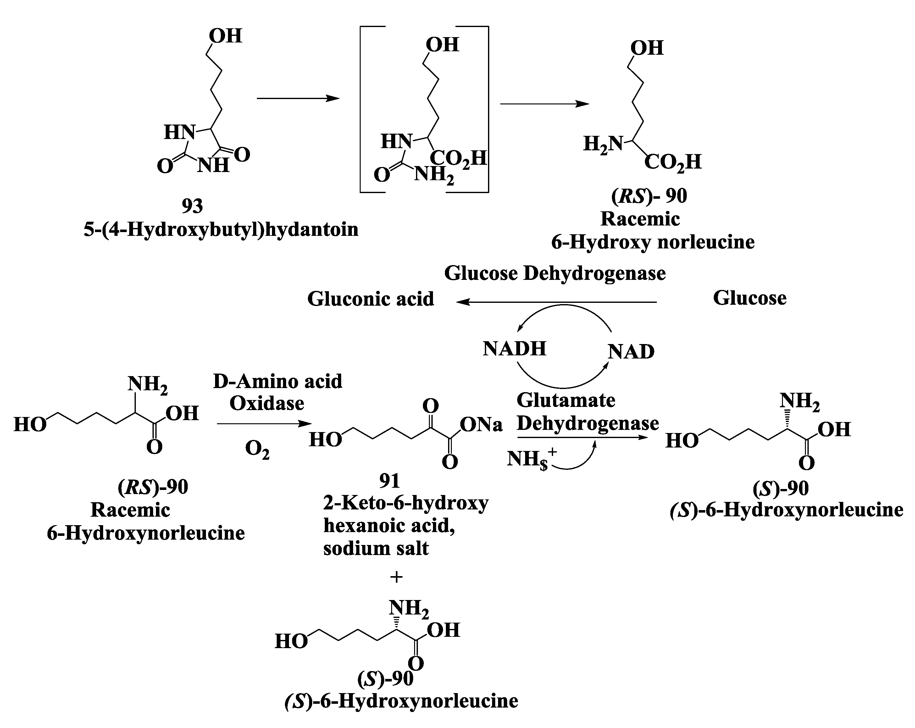 Biomolecules 03 00741 g024
