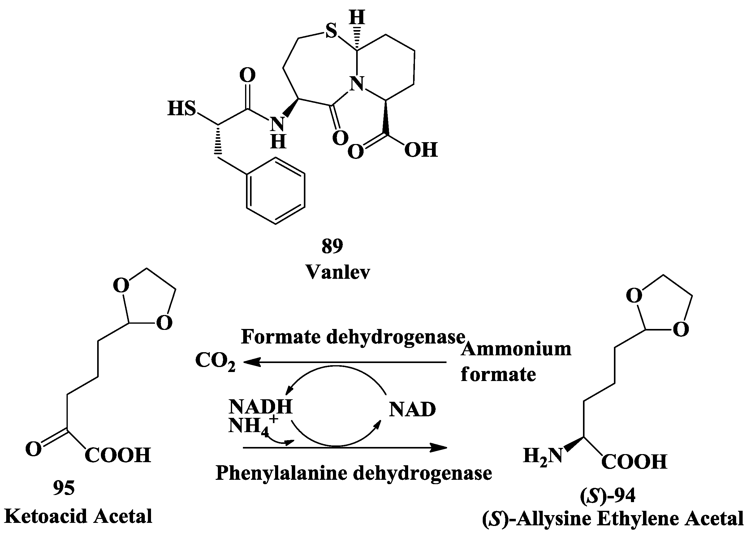 Biomolecules 03 00741 g025