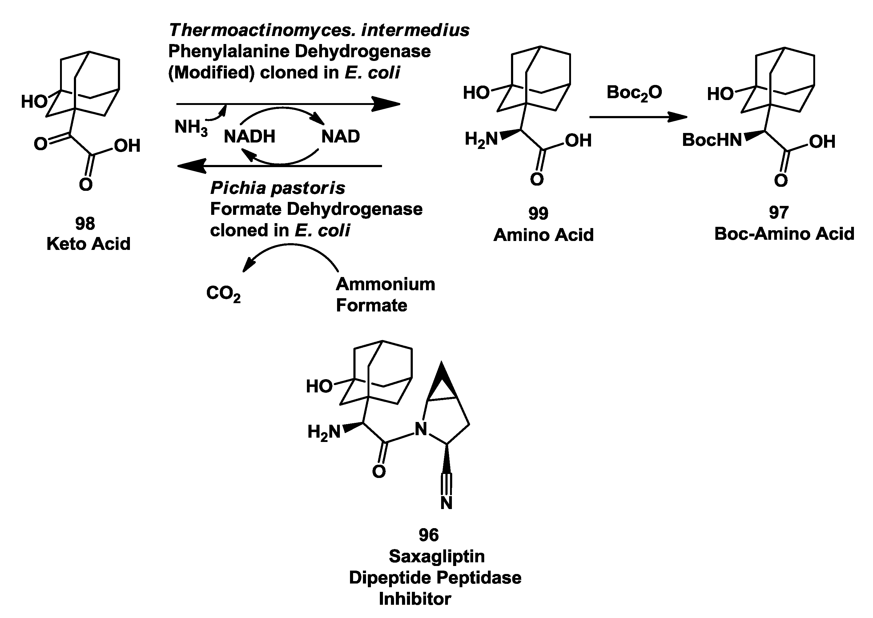 Biomolecules 03 00741 g026