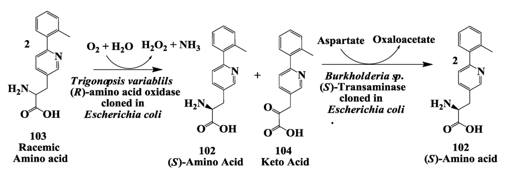Biomolecules 03 00741 g028 1024