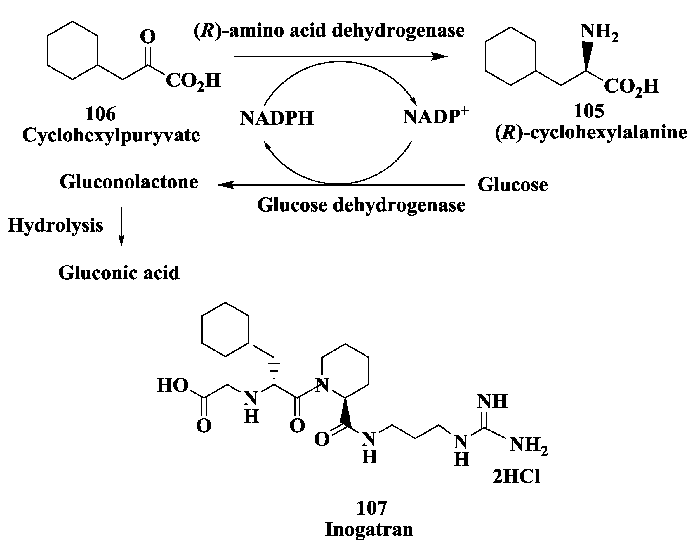 Biomolecules 03 00741 g029
