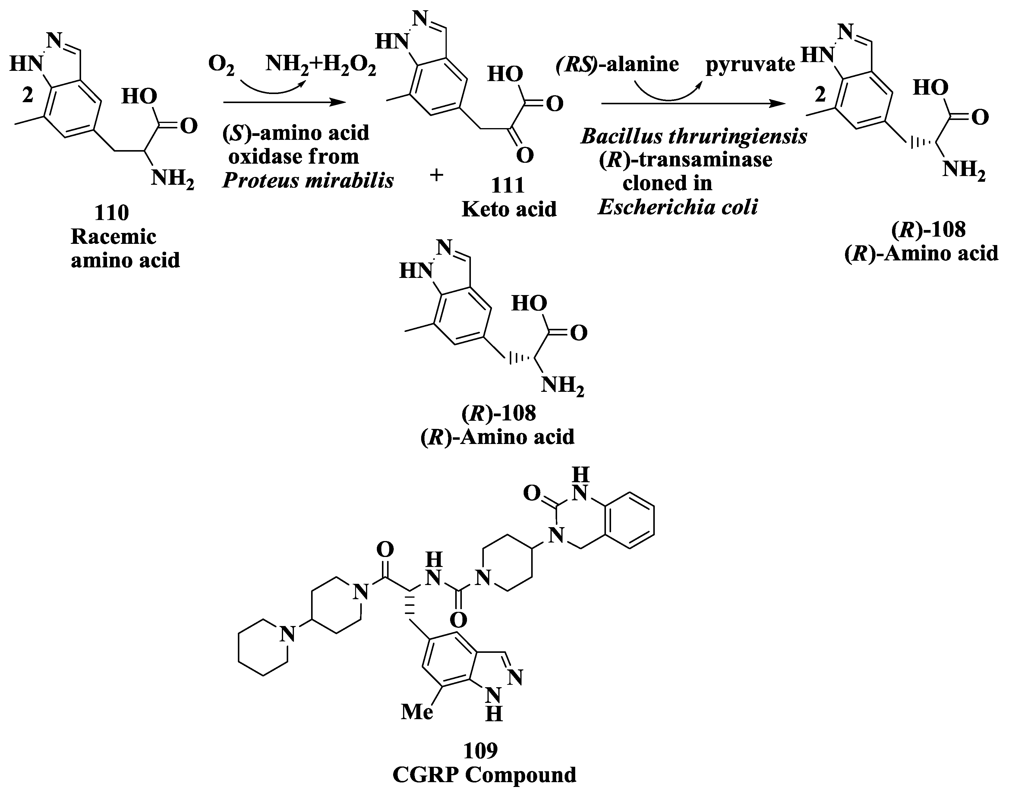 Biomolecules 03 00741 g030