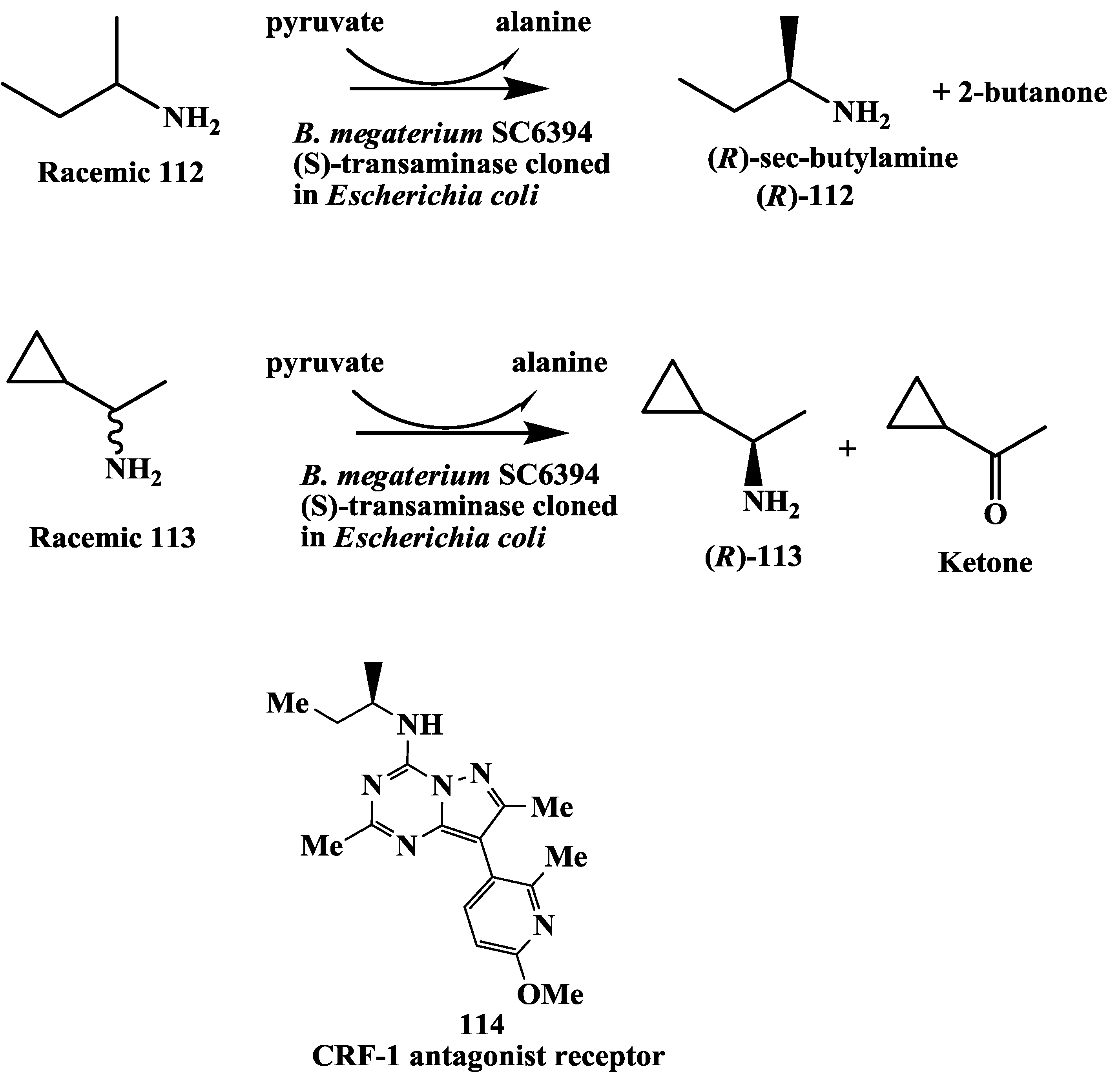 Biomolecules 03 00741 g031