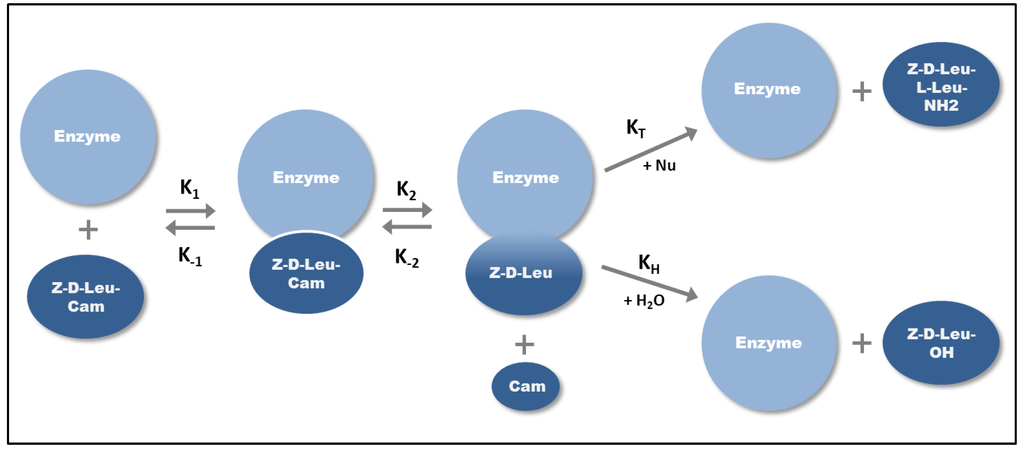 Biomolecules 03 00923 g002 1024