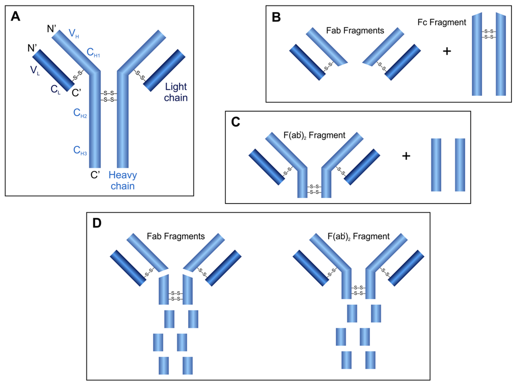 Biomolecules 03 00923 g003 1024