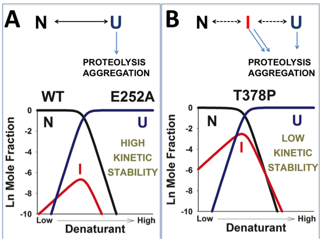Biomolecules 03 01030 g004 1024