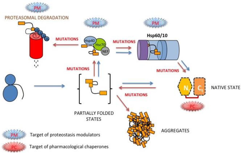 Biomolecules 03 01030 g005 1024