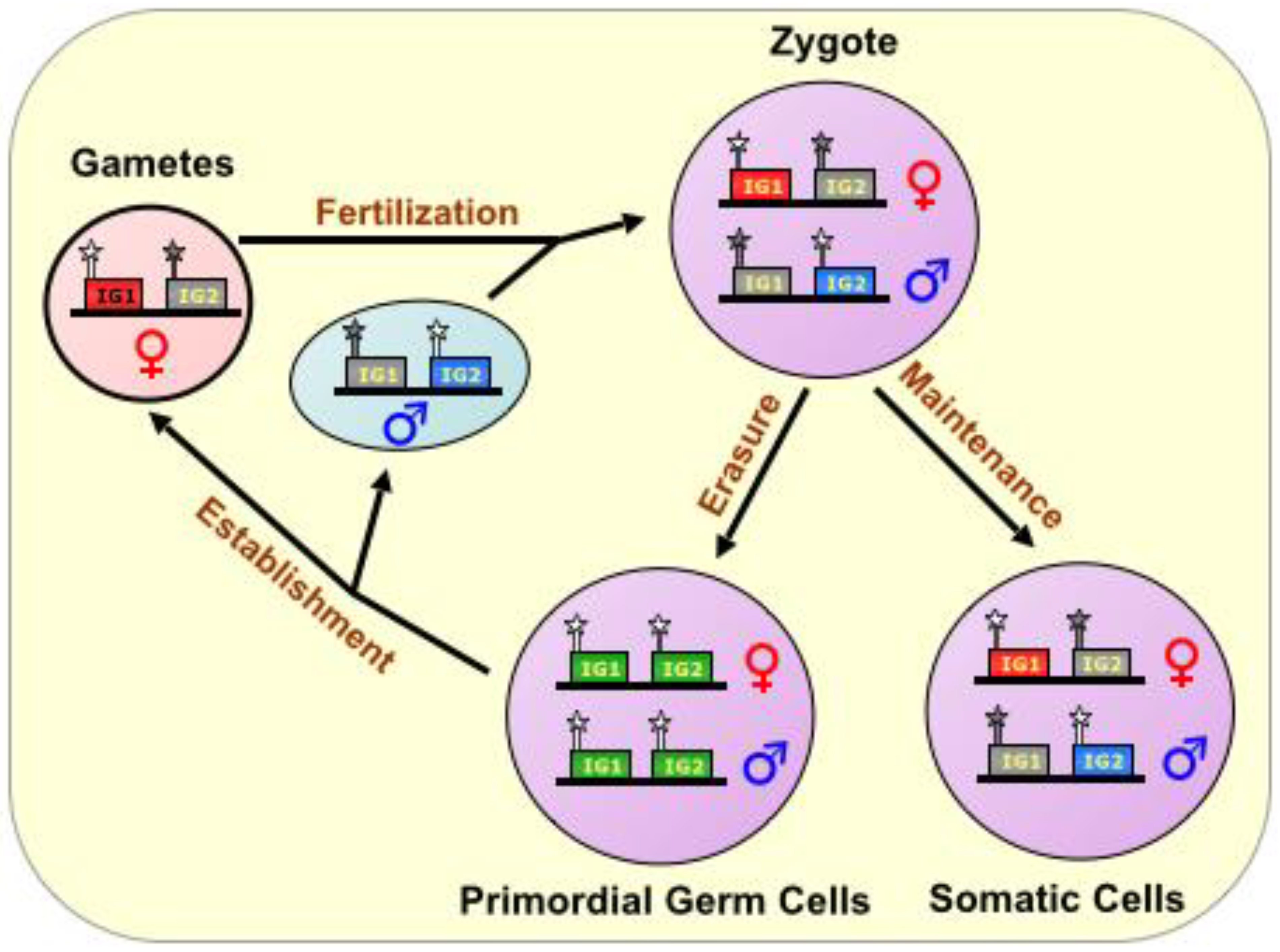Biomolecules 04 00076 g001