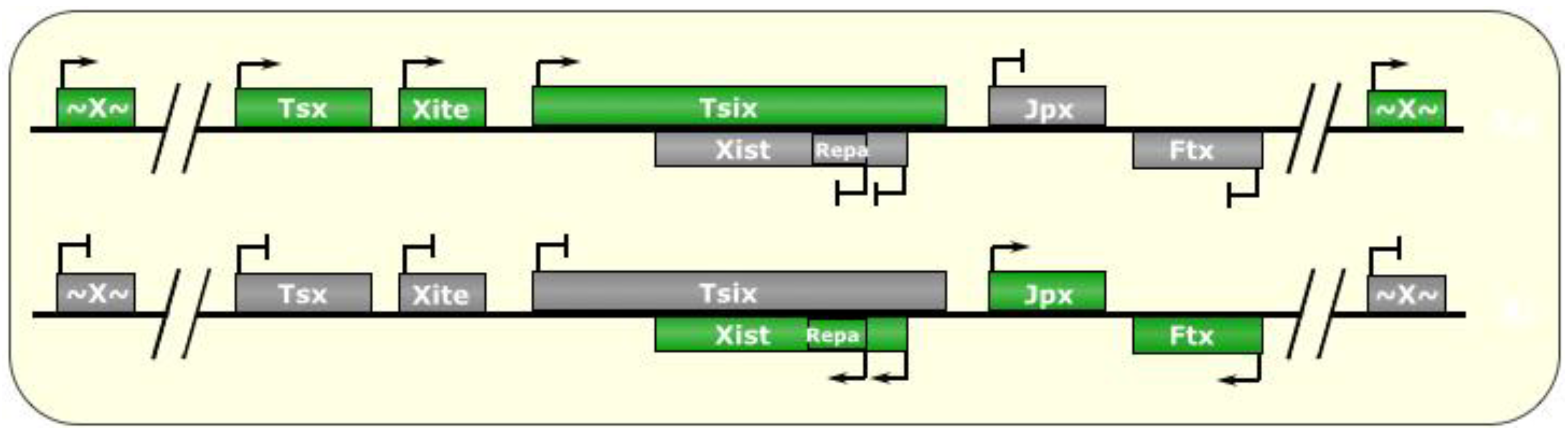 Biomolecules 04 00076 g002
