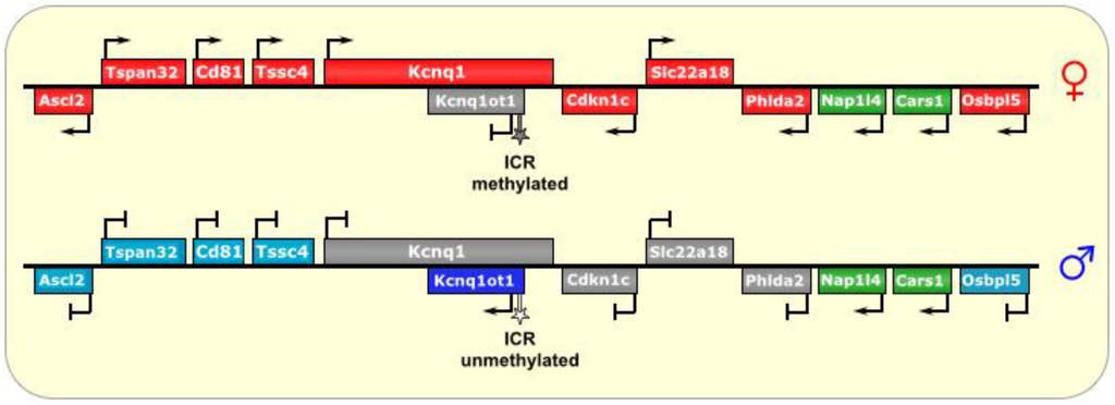 Biomolecules 04 00076 g003 1024