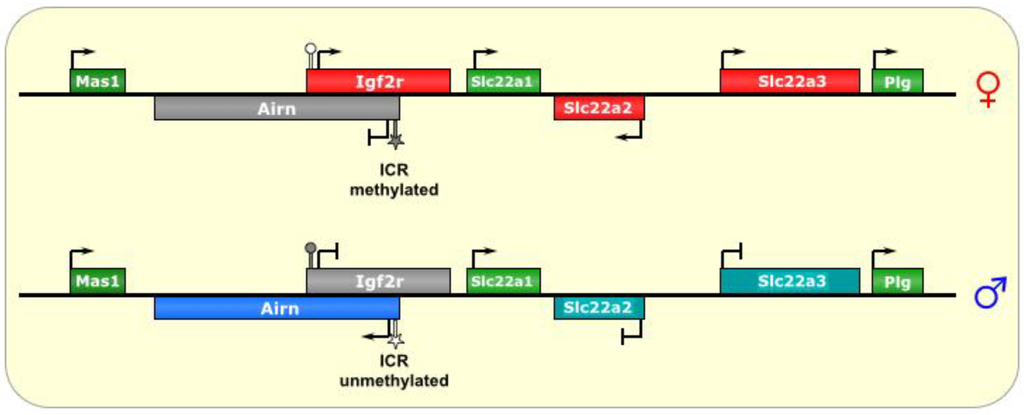 Biomolecules 04 00076 g004 1024