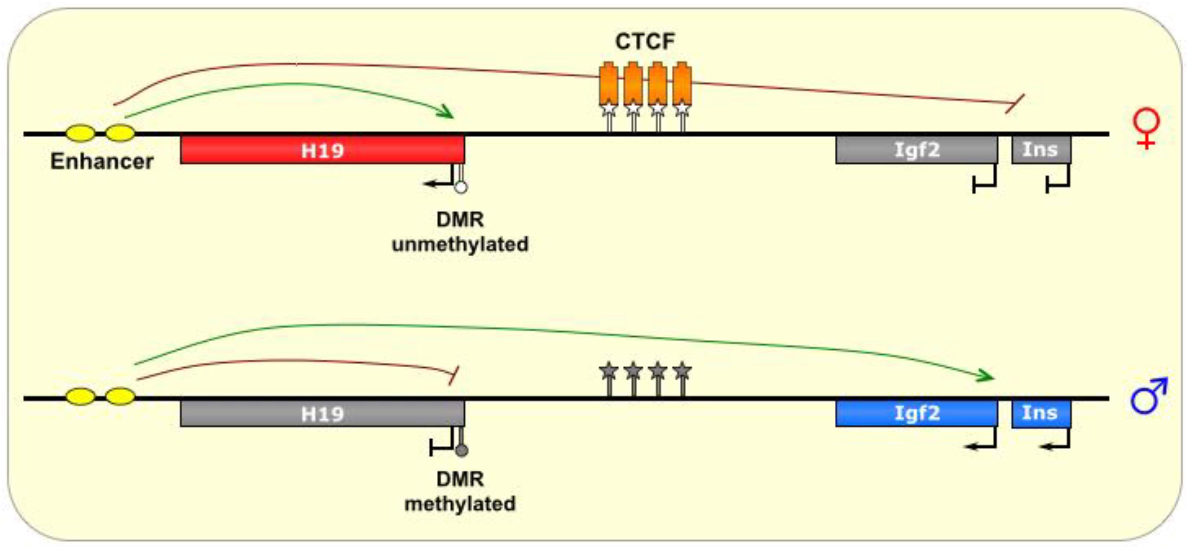 Biomolecules 04 00076 g005