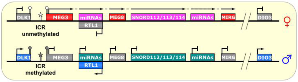 Biomolecules 04 00076 g006 1024