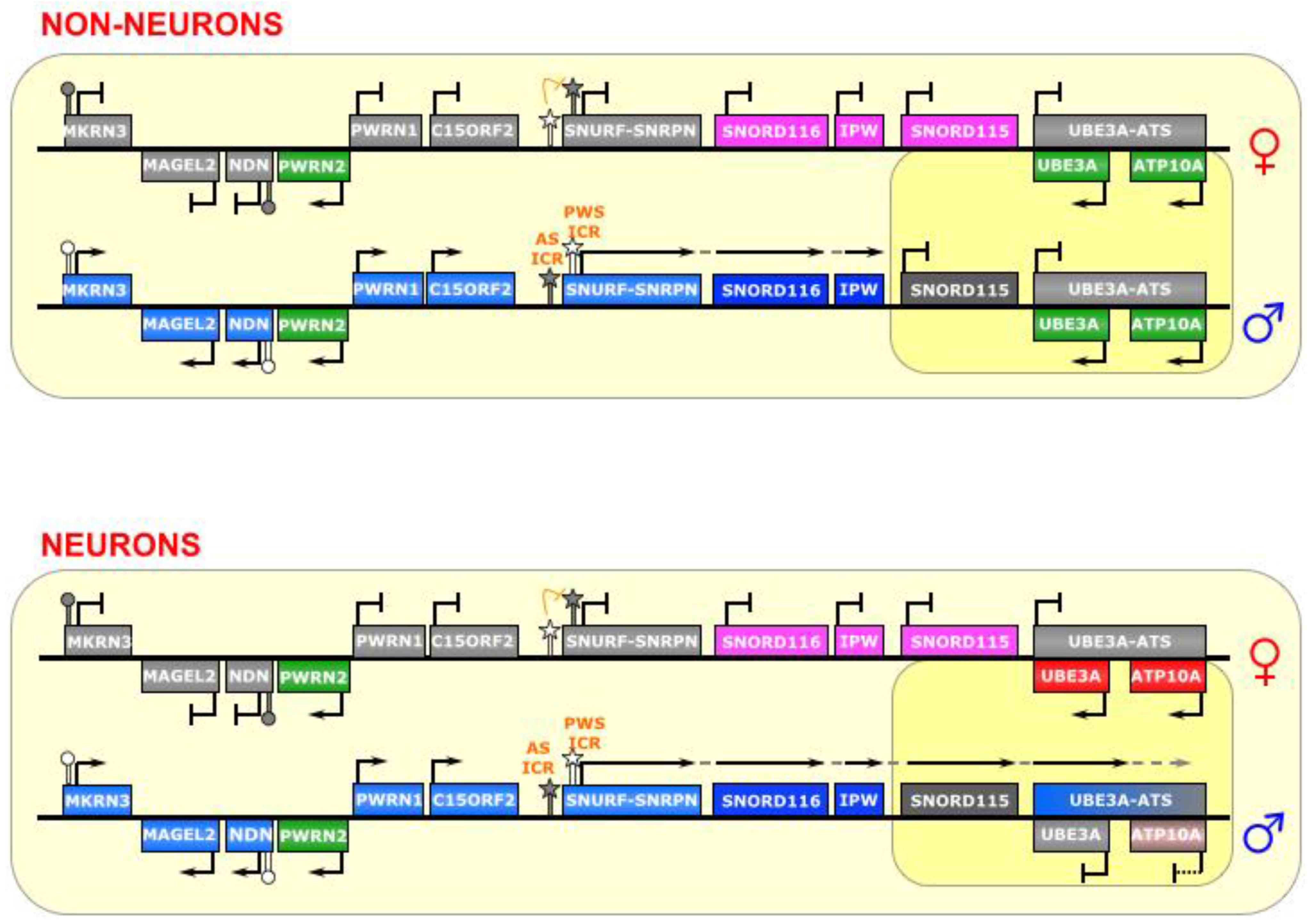 Biomolecules 04 00076 g007