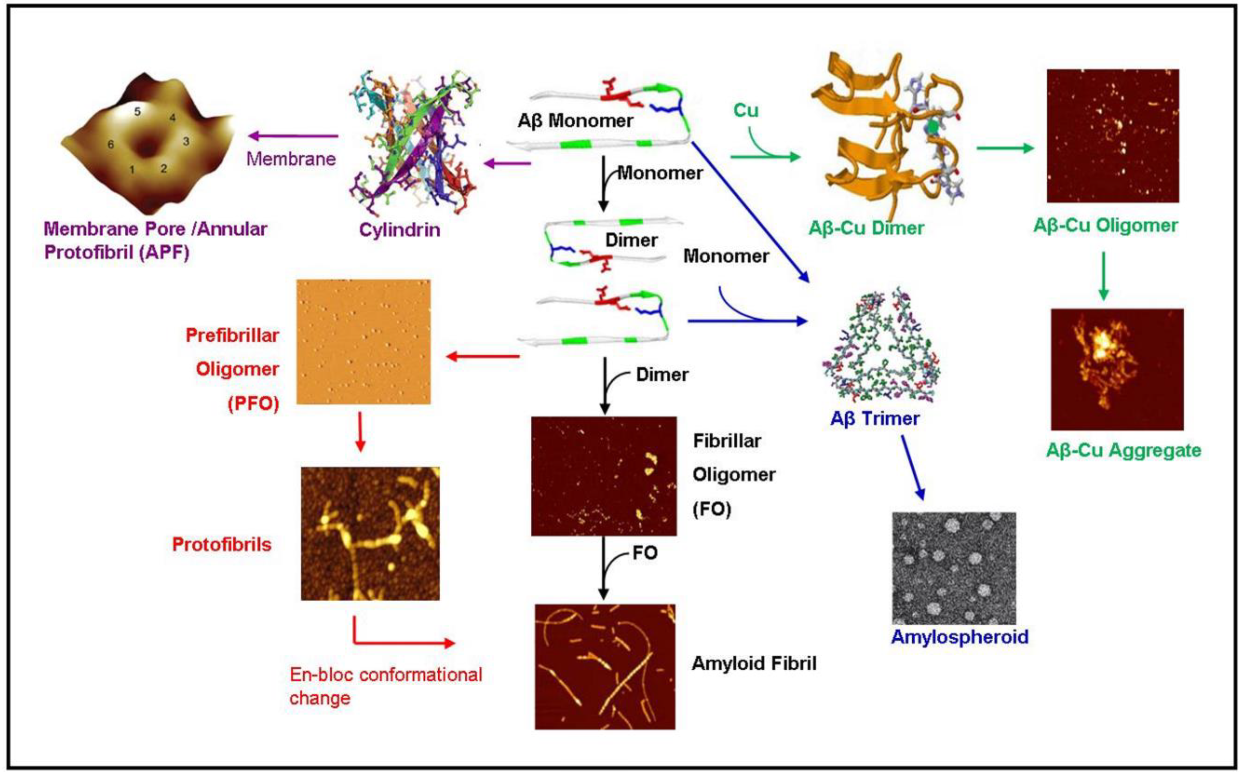 Biomolecules 04 00101 g002