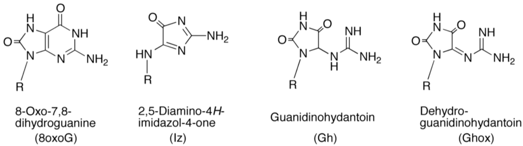 Biomolecules 04 00140 g001 1024