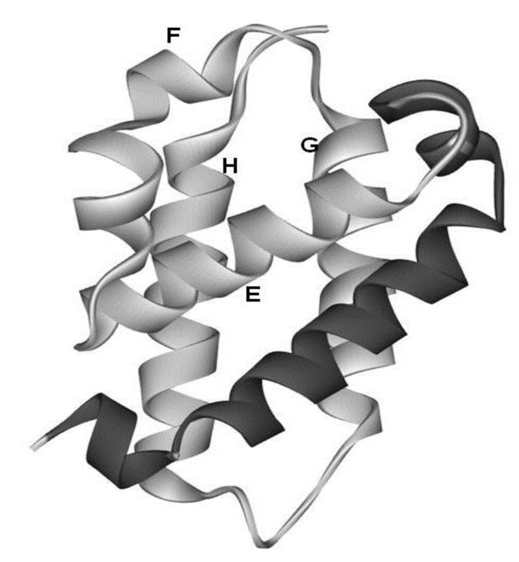 Biomolecules 04 00268 g003 1024