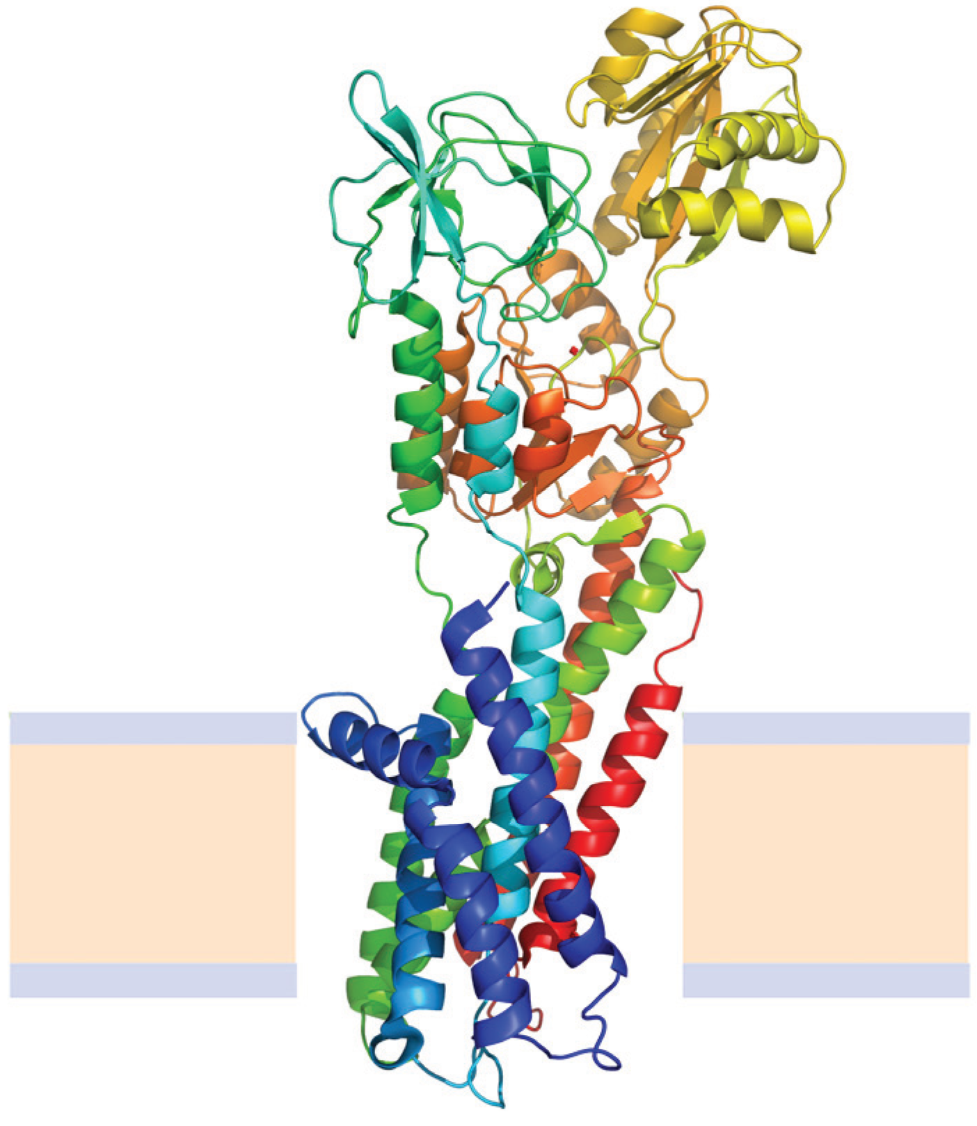 Biomolecules 04 00354 g007