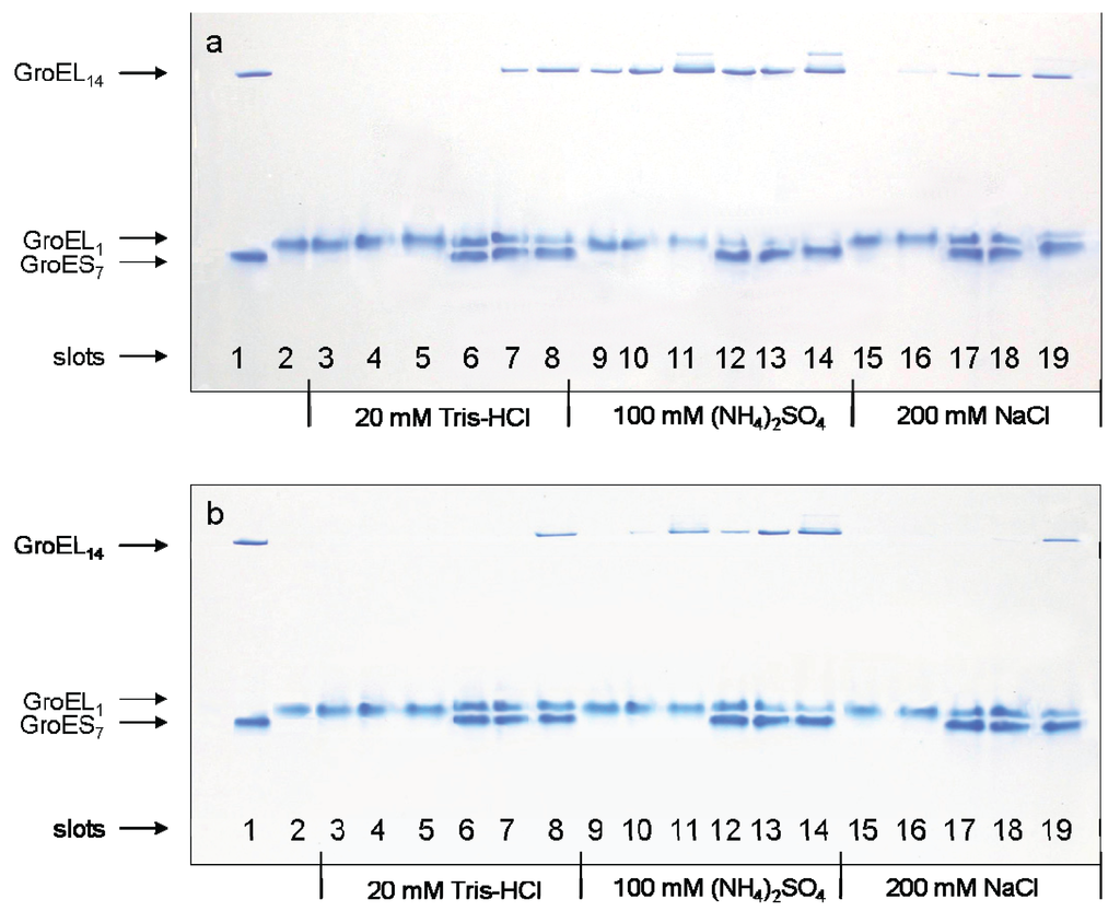 Biomolecules 04 00458 g002 1024