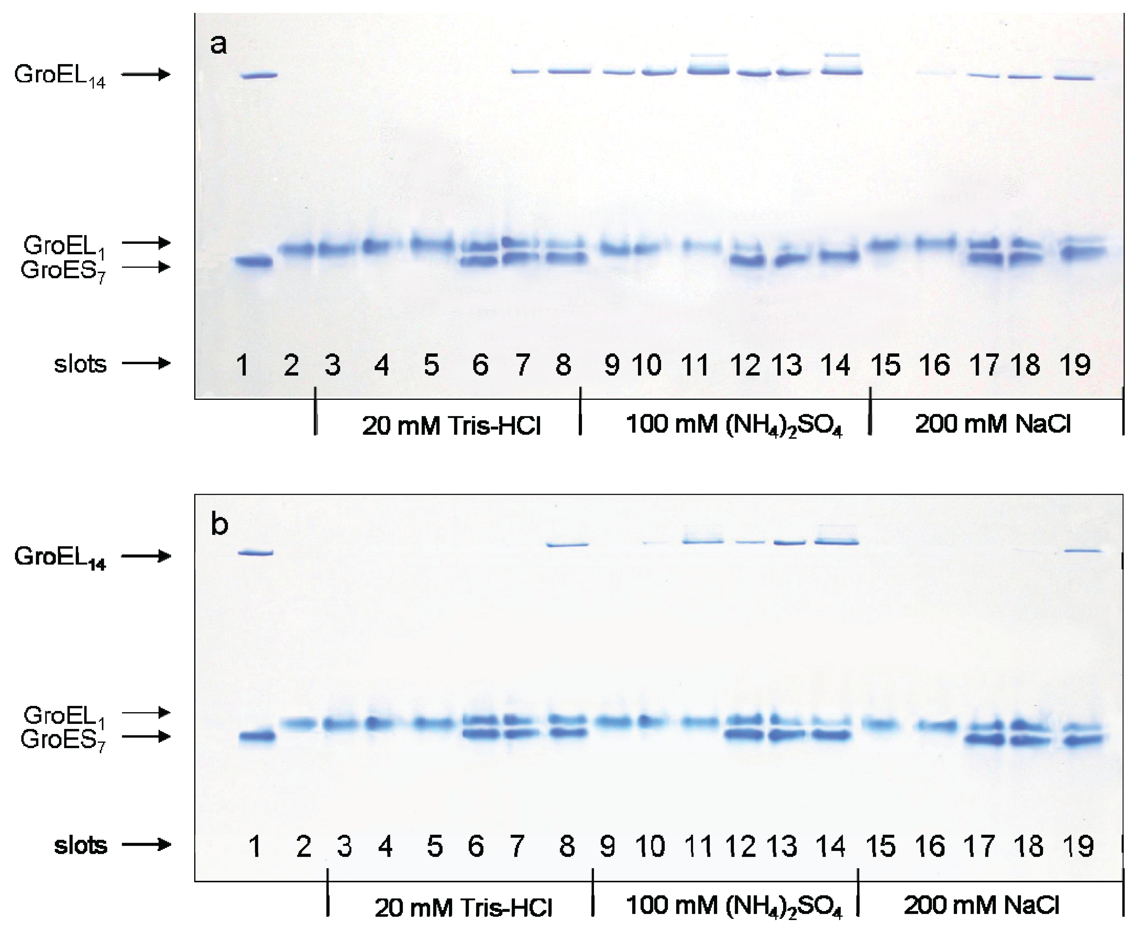Biomolecules 04 00458 g002
