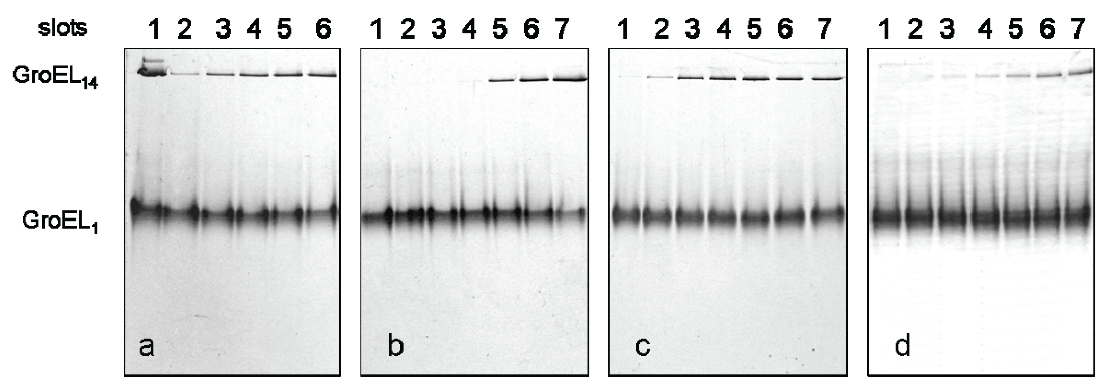 Biomolecules 04 00458 g004