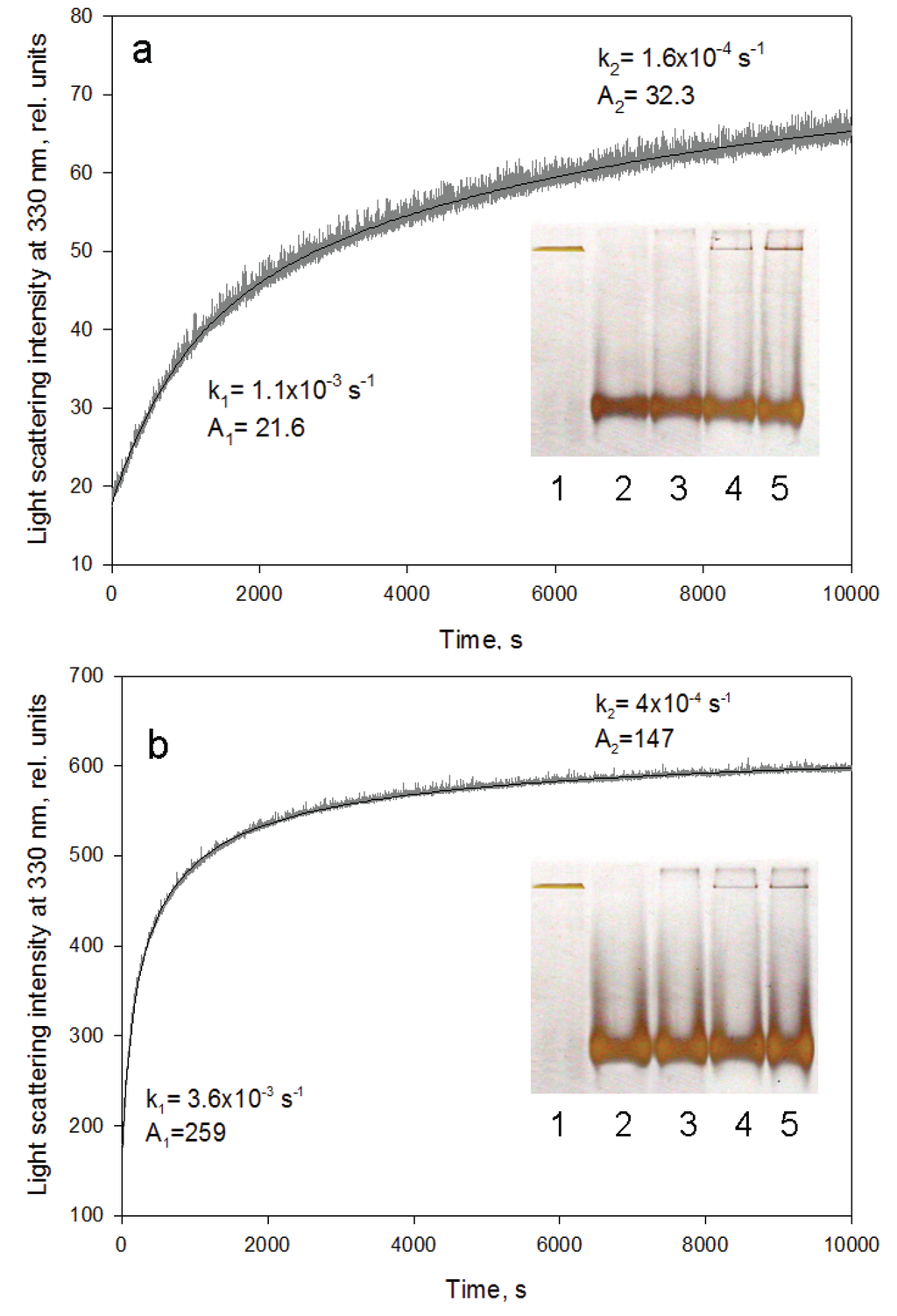 Biomolecules 04 00458 g005 1024
