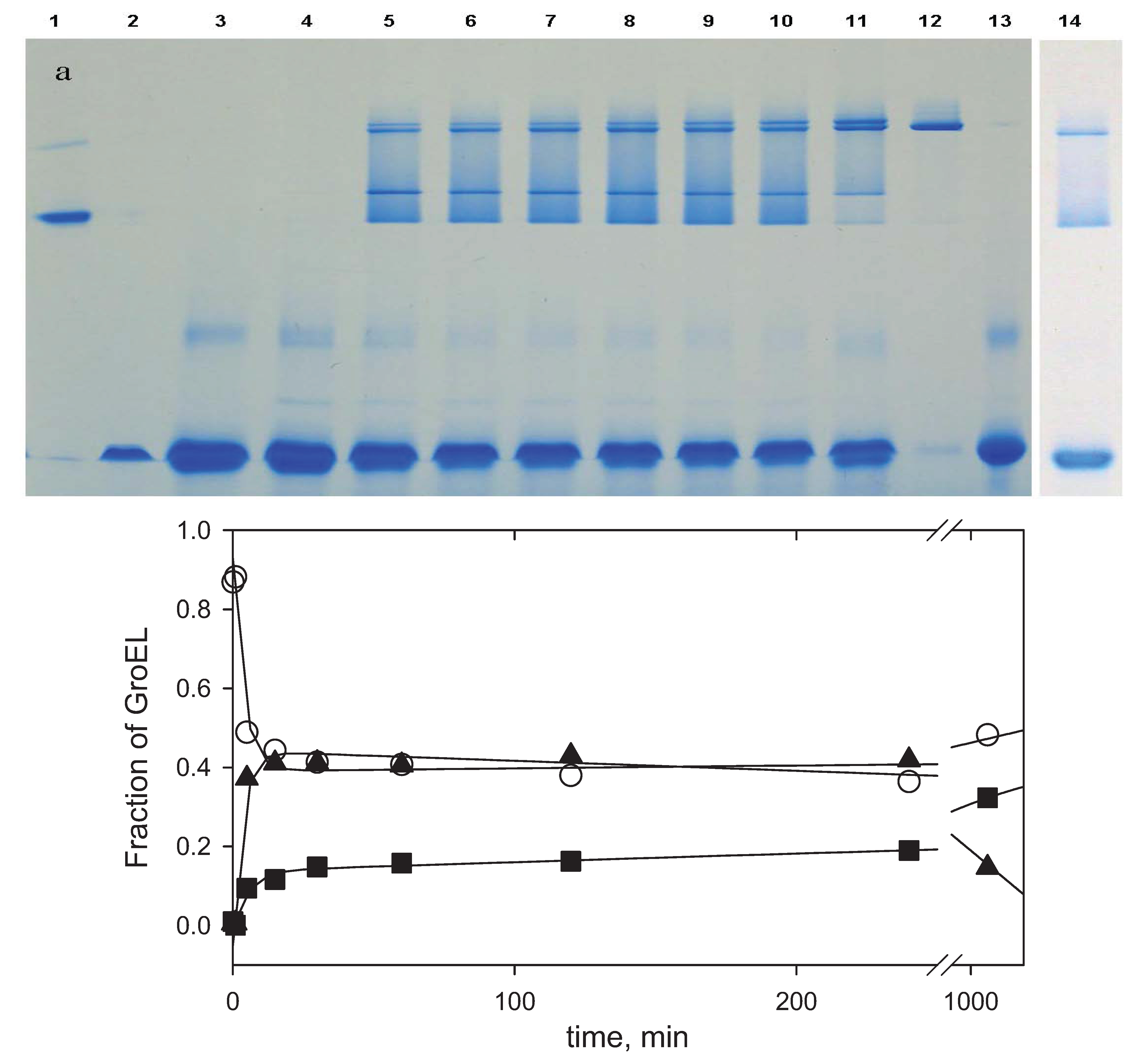 Biomolecules 04 00458 g008