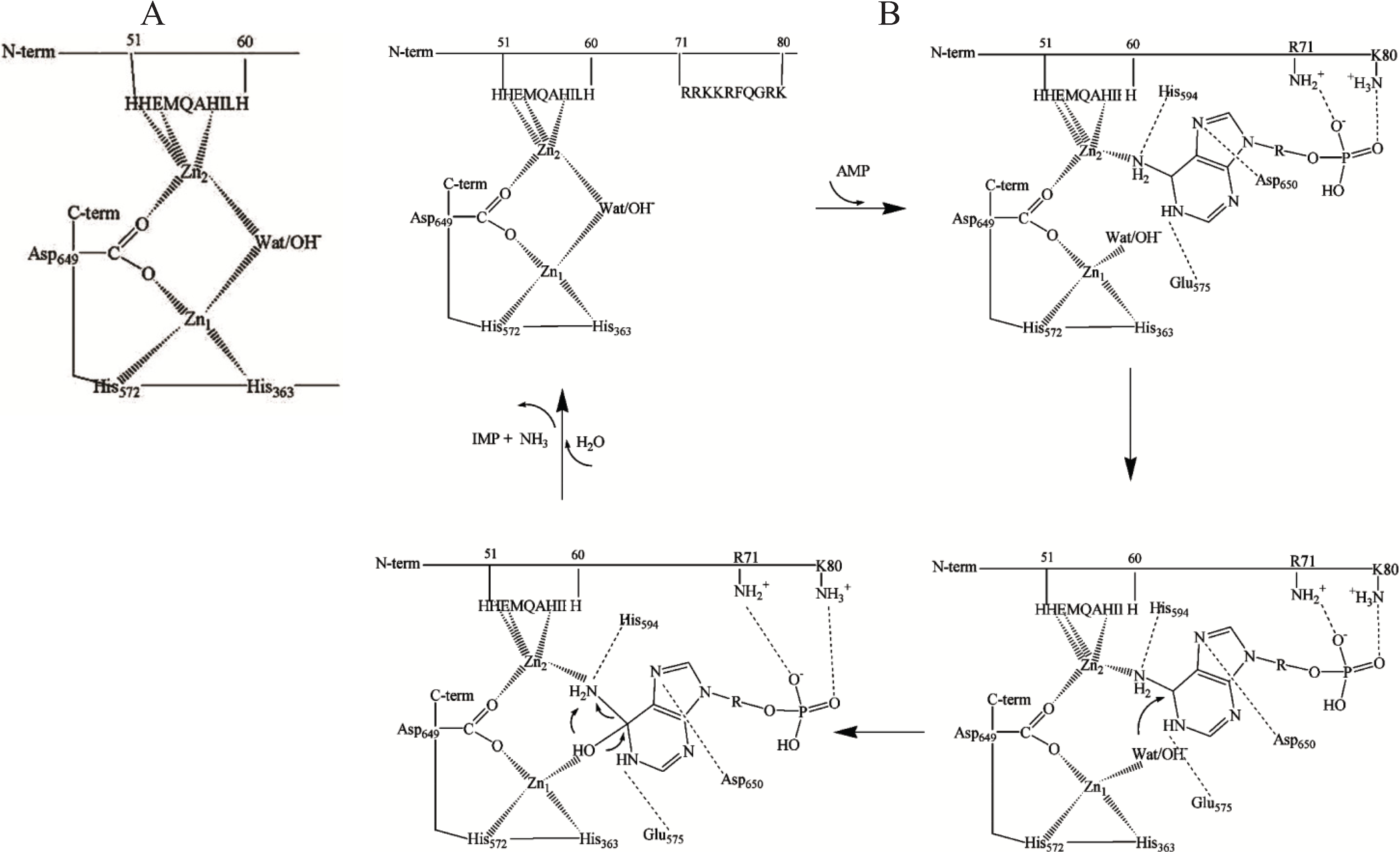 Biomolecules 04 00474 g001