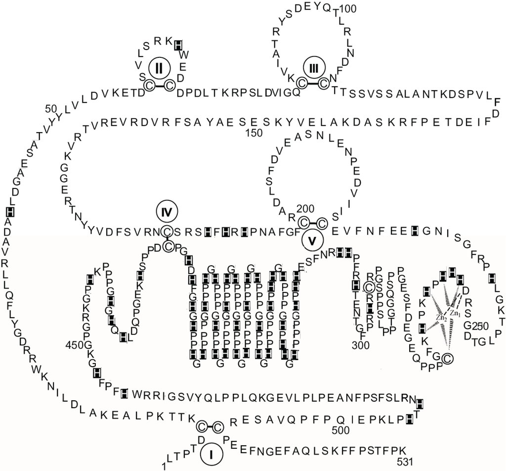 Biomolecules 04 00474 g003 1024